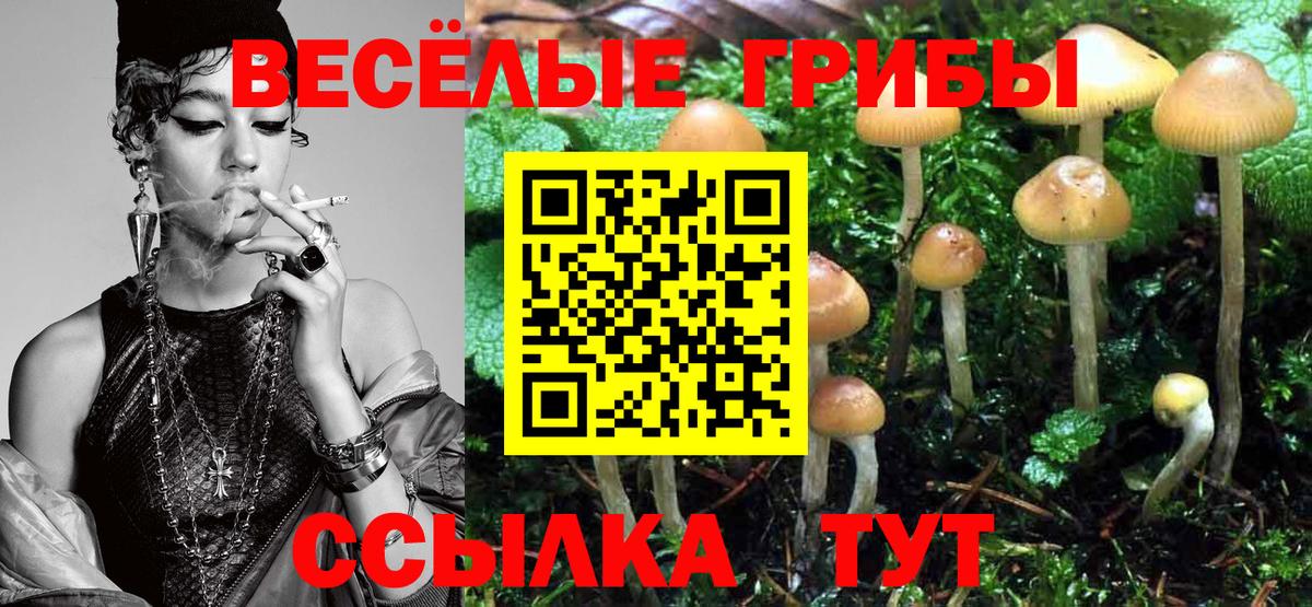 Галлюциногенные грибы Psilocybe Арсеньев