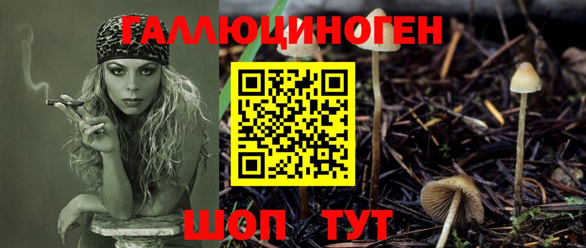 Галлюциногенные грибы ЛСД  Псилоцибиновые грибы Magic Shrooms  Арсеньев  Вход с VPN 